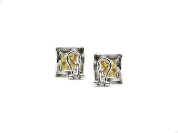 Aretes Oro 14k 2 Tonos Fractal By Thiago Turcott® - Image 4