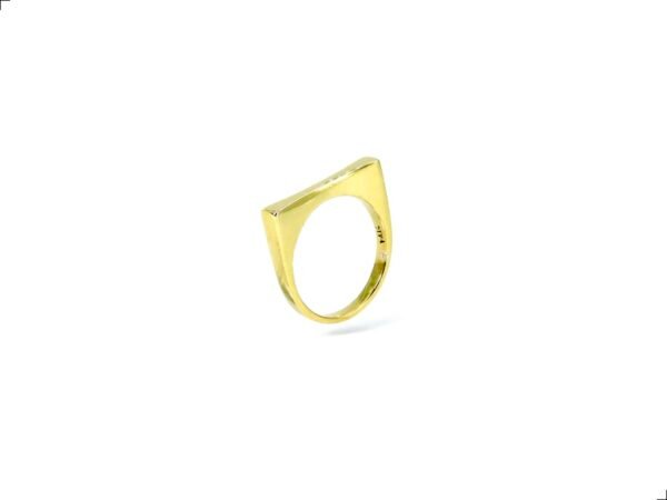 Anillo Oro 14k Orbital By Thiago Turcott®