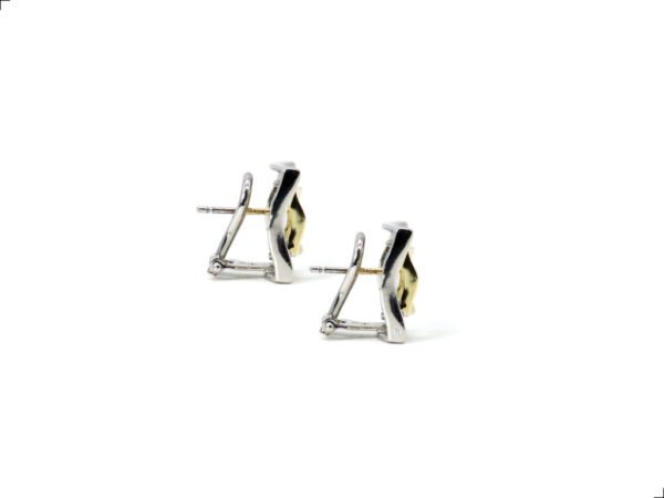 Aretes Oro 14k 2 Tonos Fractal By Thiago Turcott® - Image 2