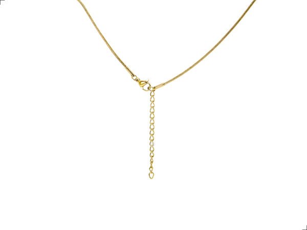 Cadena Titanio 18k Cola De Topo Gold By Thiago Turcott® - Image 5